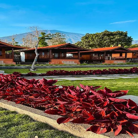 Seroja Villa And Camping Ground